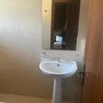 καμελια