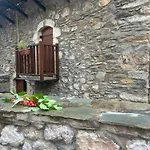 καμελια