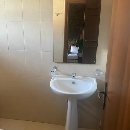 καμελια