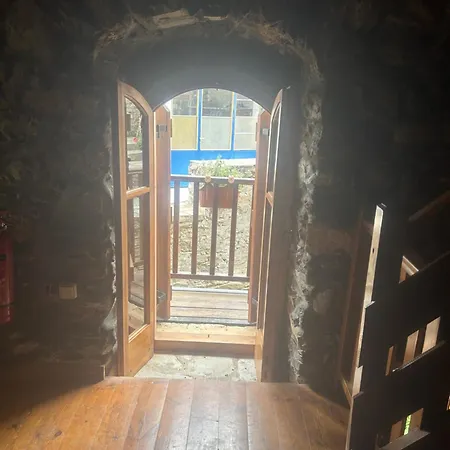 καμελια * Artemisía