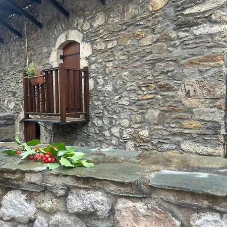 καμελια