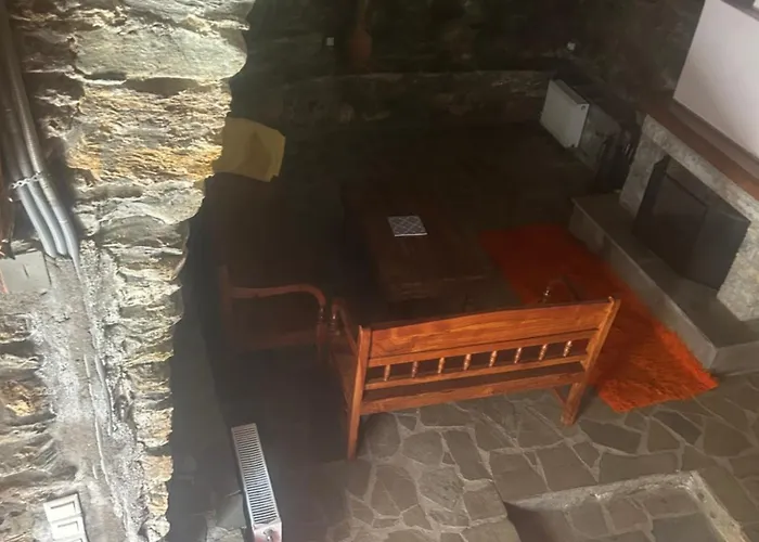 καμελια * Artemisia