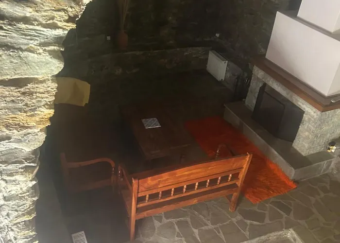 καμελια * Artemisia