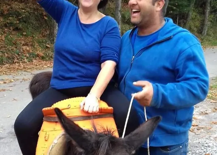 καμελια Apartment *